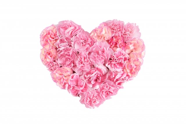 母の日のプレゼントランキング！僕のベスト5を紹介！