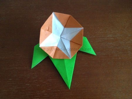 朝顔の折り方32