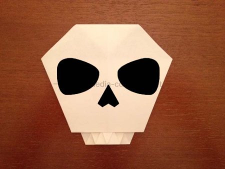 hyperostosis-origami-12